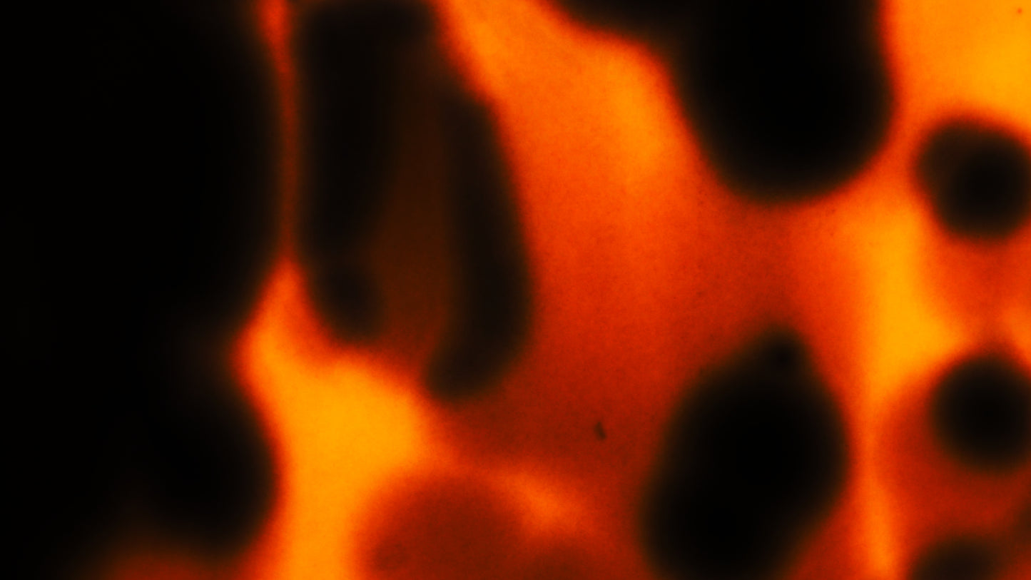 EXPIRED SUPER 8 FILM BURNS