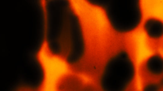 EXPIRED SUPER 8 FILM BURNS